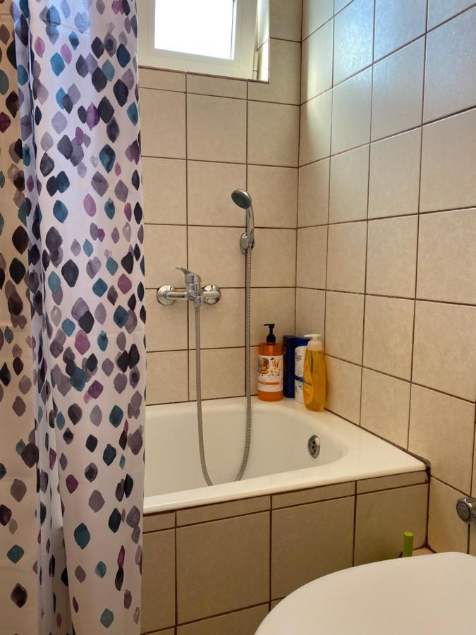 Cozy And Quiet Mini City Apartment Tríkala Dış mekan fotoğraf